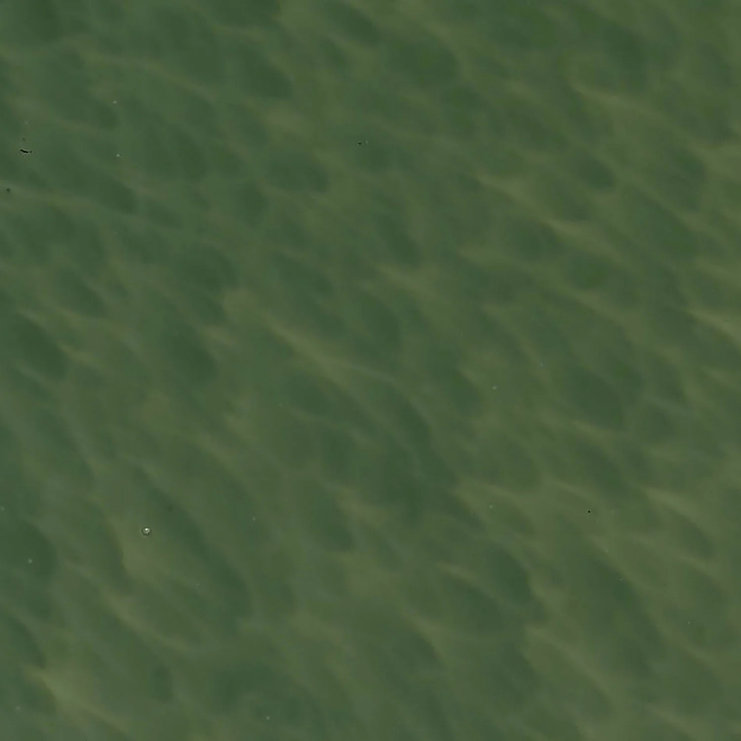 Thumbnail 14